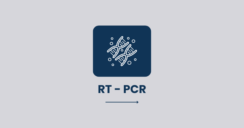 RT-PCR