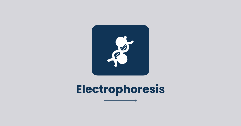 Electrophoresis