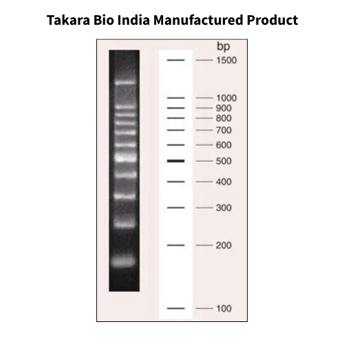 100 bp DNA Ladder – DSS Takara Bio