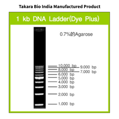 1 kb DNA Ladder (Dye Plus) – DSS Takara Bio