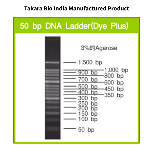 50 bp DNA Ladder (Dye Plus)